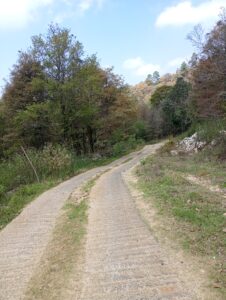 Terrenos Rustícos Campestres San Cristóbal