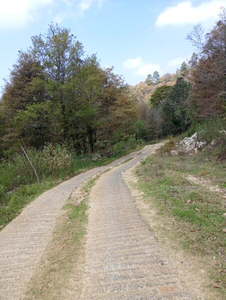 Terrenos Rustícos Campestres San Cristóbal
