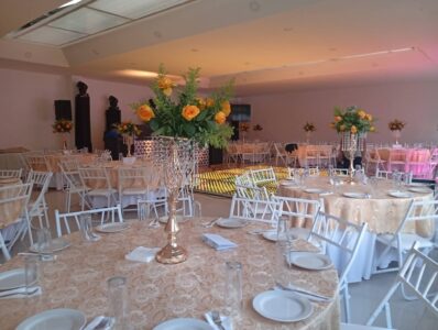 Salón Jardín Lluvia