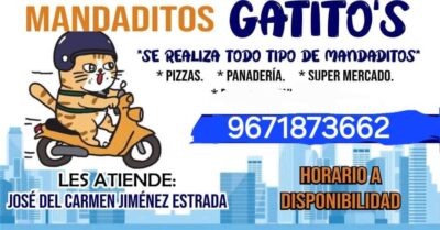 Gatitos