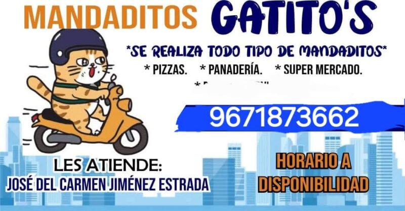 Gatitos